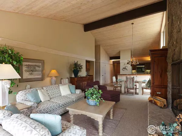 Red Feather Lakes, CO 80545,300 Fox Acres Dr W