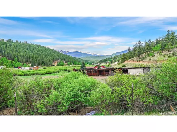 Bailey, CO 80421,188 Brown St