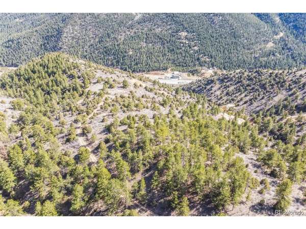 Wild Wagoner Tr, Dumont, CO 80452