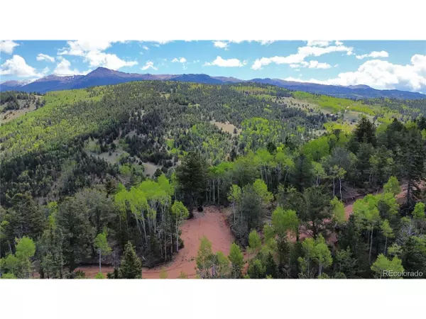 County Road 61 Ct Rd, Divide, CO 80814