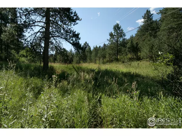 0 LaEscena Dr, Bellvue, CO 80512