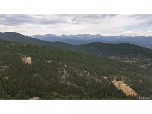 3747 S Spring Gulch Rd, Idaho Springs, CO 80452