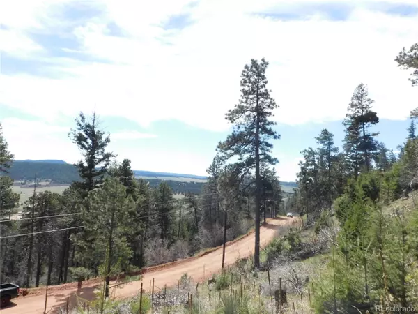 Larkspur, CO 80118,13524 Woodmoor West Dr