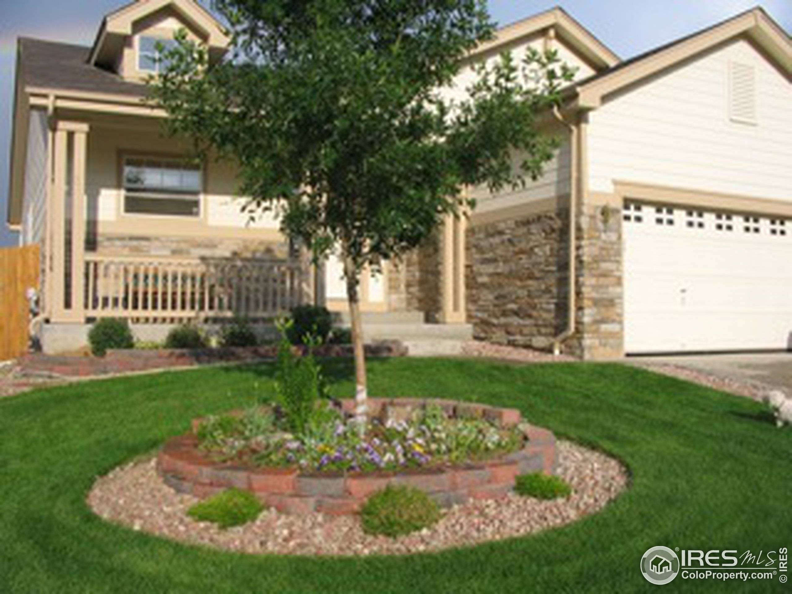 7150 High St, Frederick, CO 80504