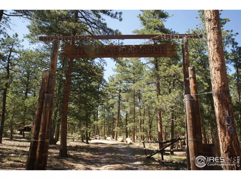 109 Lionshead Dr, Pine, CO 80470