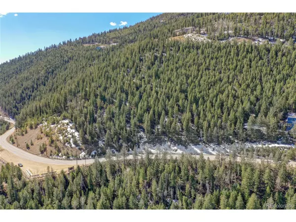 0 Saddleback, Evergreen, CO 80439