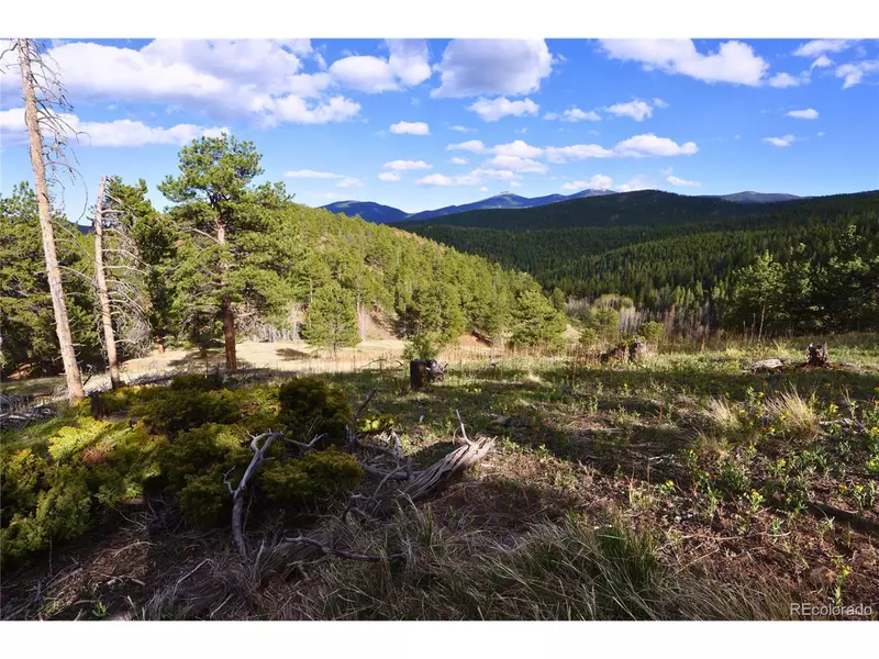 0 Turkey Gulch Rd, Idaho Springs, CO 80452