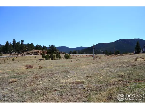 Estes Park, CO 80517,3010 Lakota Ct