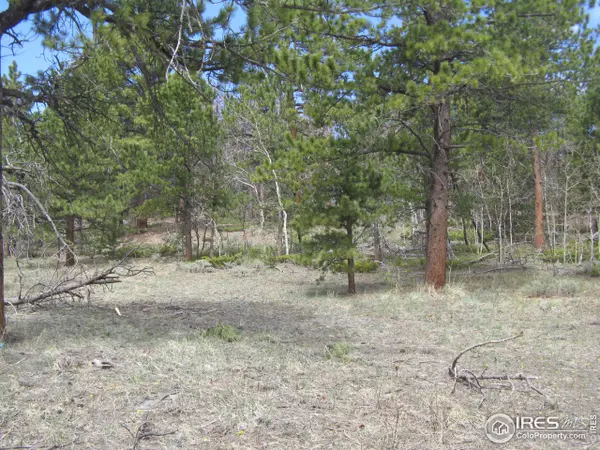 151 Neosho Trl, Red Feather Lakes, CO 80545