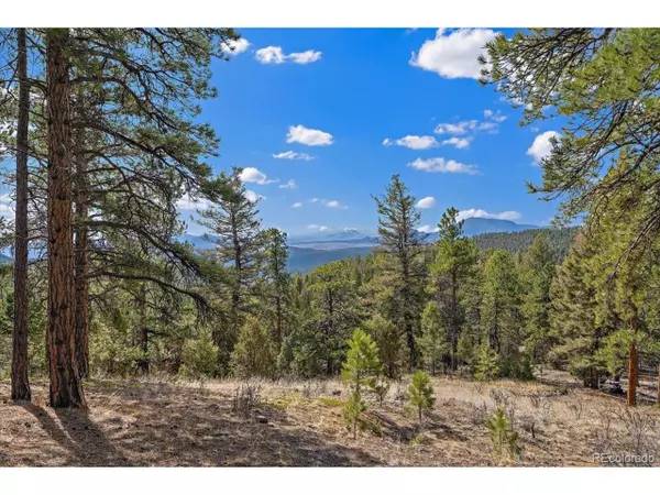 13455 S Resort Dr, Conifer, CO 80433