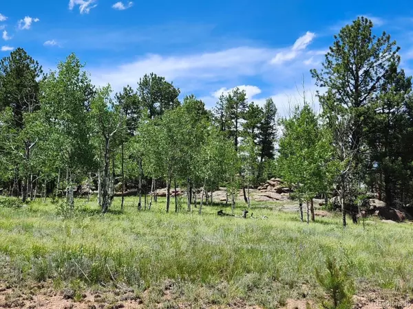 Florissant, CO 80816,501 Cr-403