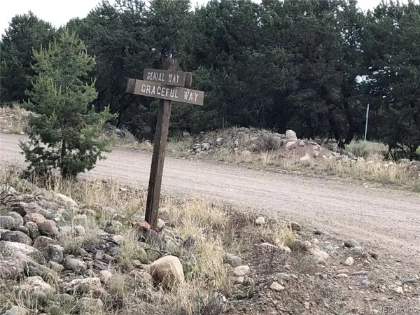 Crestone, CO 81131,3386 Genial Way