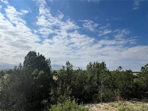 Colorado City, CO 81019,50 Windom Peak