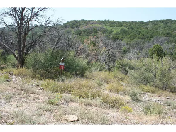 12 Elk Ranch Rd, Glade Park, CO 81523