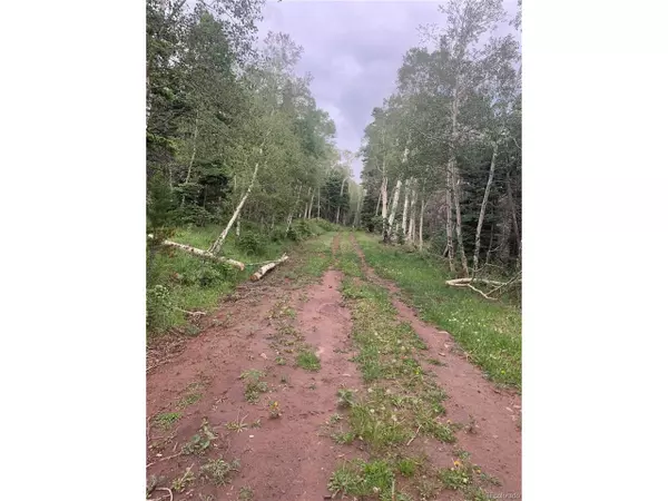 Fort Garland, CO 81133,2952 LARRY Pl