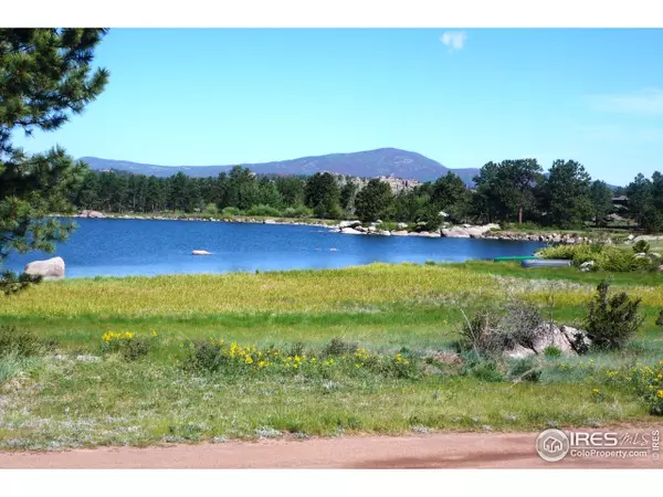 Red Feather Lakes, CO 80545,110 Bear Claw Way