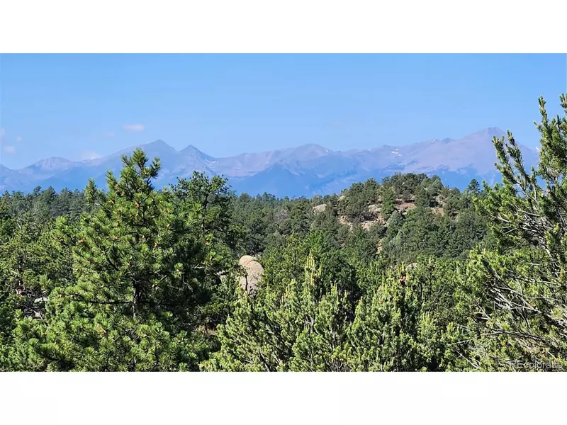 43rd Trl, Cotopaxi, CO 81223