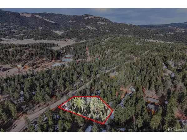 Pine, CO 80470,12726 S Cindy Ave