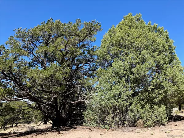 Crestone, CO 81131,4445 Rarity Way