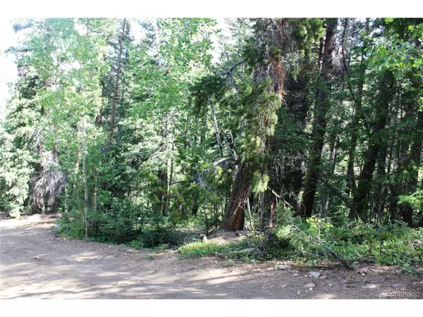 0 Sunflower Rd, Black Hawk, CO 80422