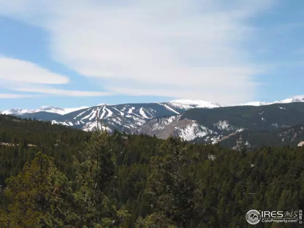 58 Doe Trl, Nederland, CO 80466