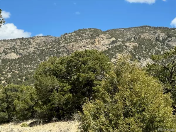 Mosca, CO 81146,103 Ute Dr