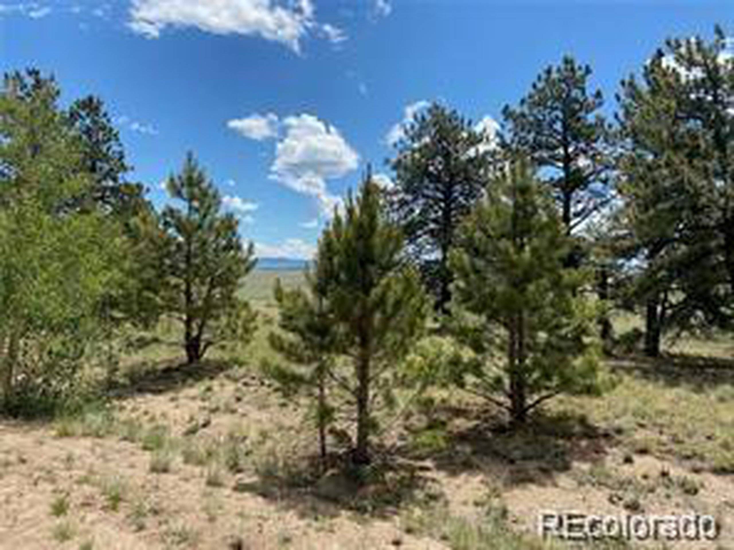 322 Angus Cir, Hartsel, CO 80449