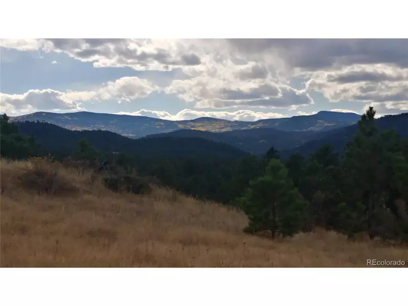 28167 Lone Elk Trl, Evergreen, CO 80439