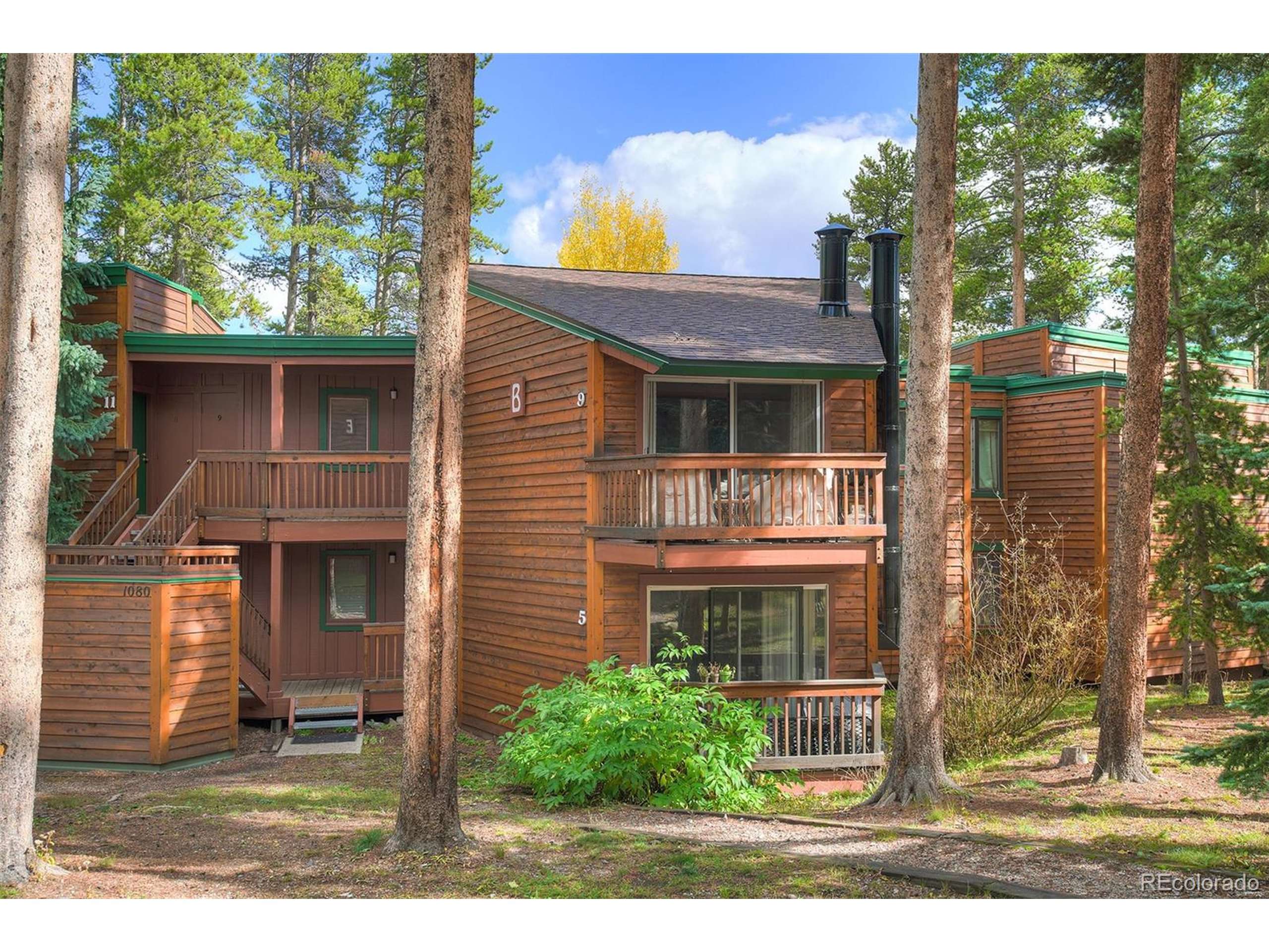 Breckenridge, CO 80424,1080 Ski Hill Rd #9