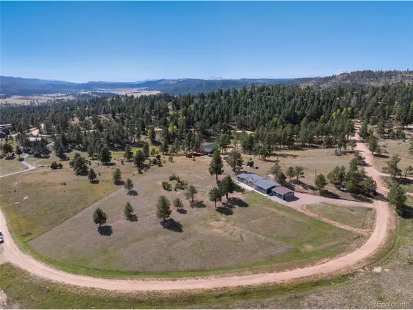 154 Hummingbird Cir, Florissant, CO 80816