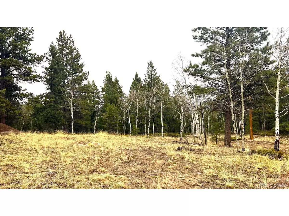 Central City, CO 80427,1 Russell Gulch Rd