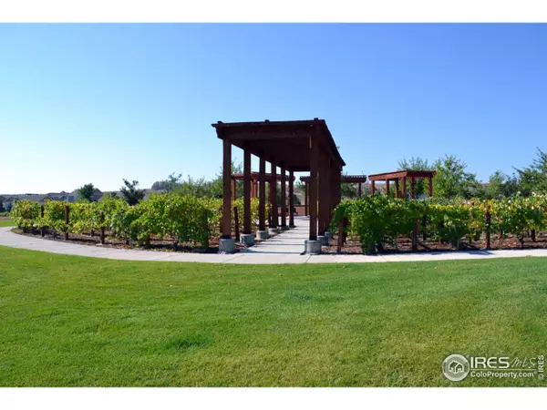 Windsor, CO 80550,2007 Vineyard Dr