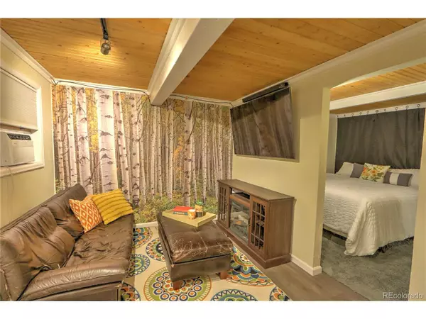 Glenwood Springs, CO 81601,11101 County Road 117 #3D