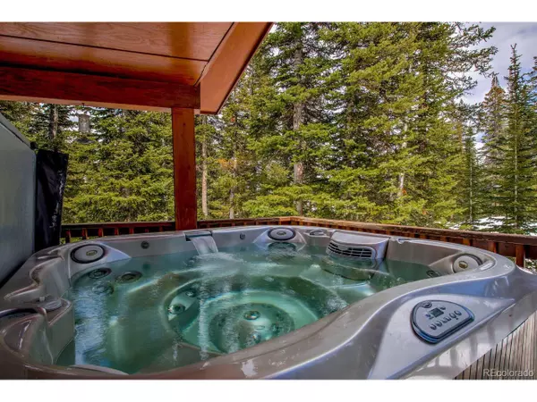 Breckenridge, CO 80424,492 Kimmes Ln