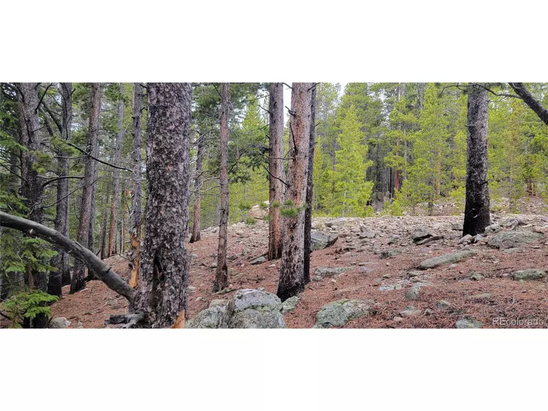 TBD Vista Rd, Idaho Springs, CO 80452