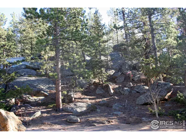 Red Feather Lakes, CO 80545,0 Sinisippi Rd