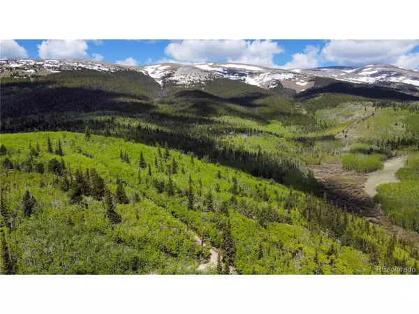 Fairplay, CO 80440,59 Aspen Way