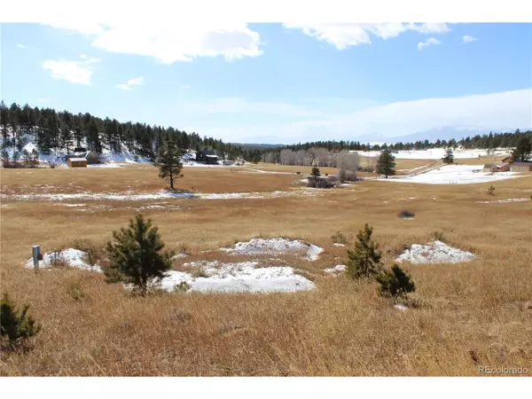 1888 Co Road 325, Westcliffe, CO 81252