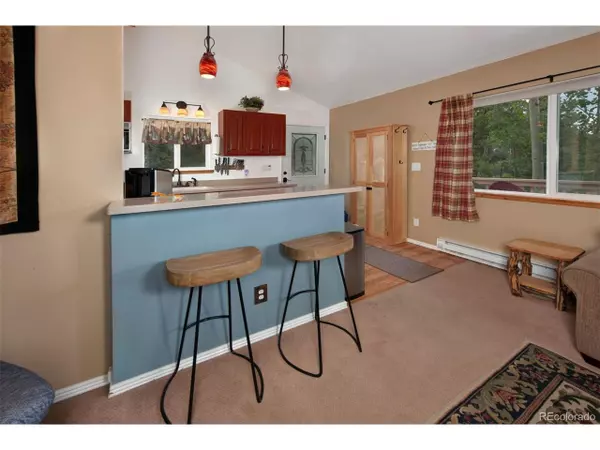 Alma, CO 80420,89 Mine Rd