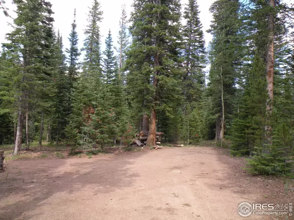 Red Feather Lakes, CO 80545,48 Mescalero Dr