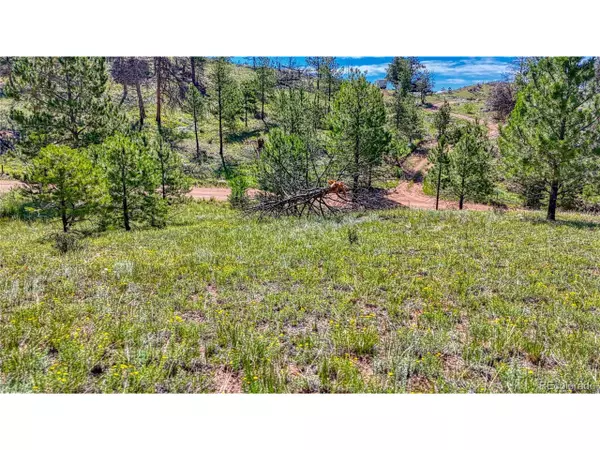 Florissant, CO 80816,423 Chateau West Dr