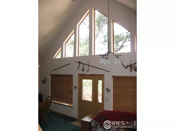 Red Feather Lakes, CO 80545,45 Erie Ct