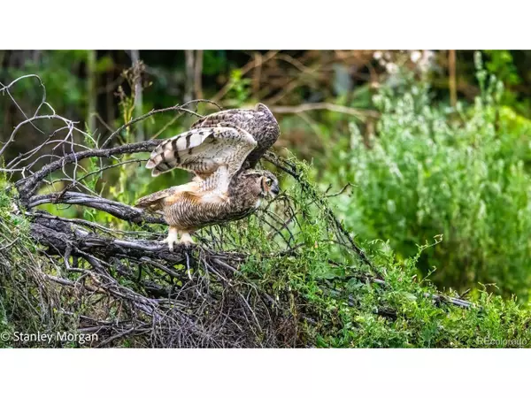 Thornton, CO 80233,10714 Birch Ct