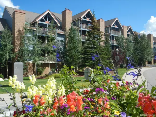 100 S Park Ave #E321, Breckenridge, CO 80424