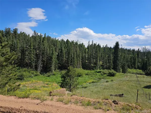 Florissant, CO 80816,1164 Arapahoe Creek Trl