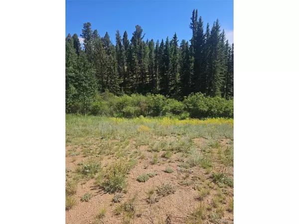 Florissant, CO 80816,1164 Arapahoe Creek Trl