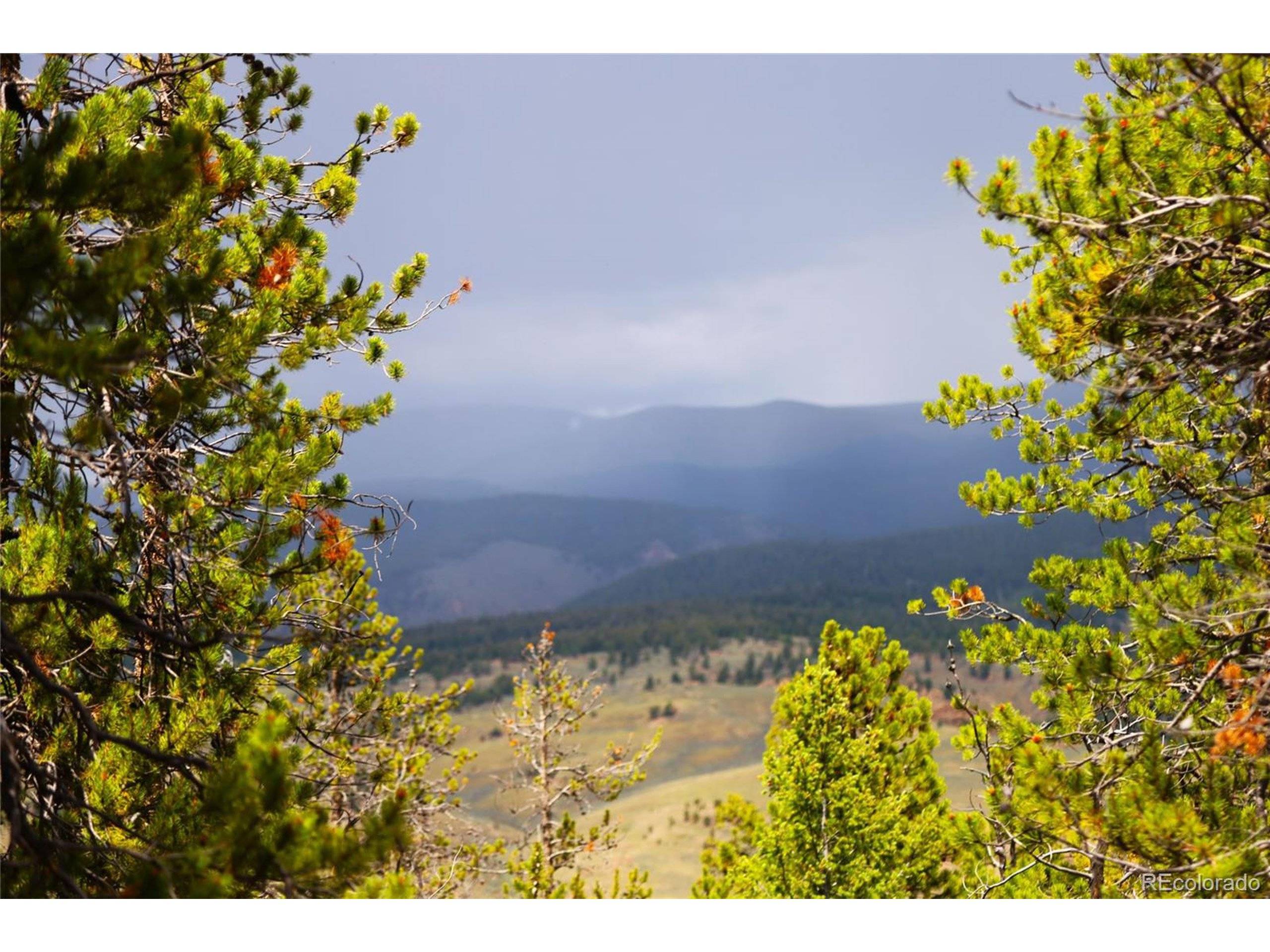 Prcl 1-A Trct 14, Twin Lakes, CO 81251