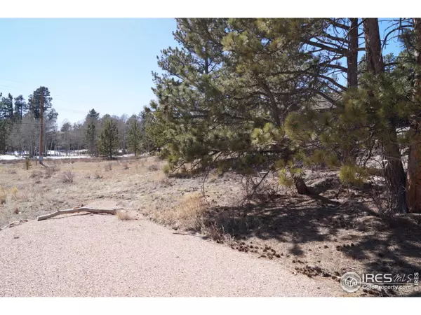Red Feather Lakes, CO 80545,121 Piney Knolls Dr