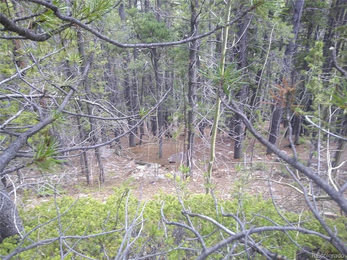 Idaho Springs, CO 80452,441 Hillside Rd