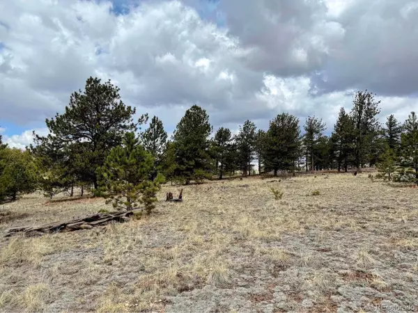 Hartsel, CO 80449,333 Jasper Way